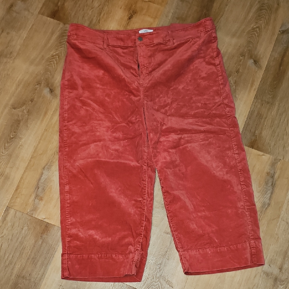 Loft Plus Velvety Red Corduroy Wide Leg Crop Pants 22w